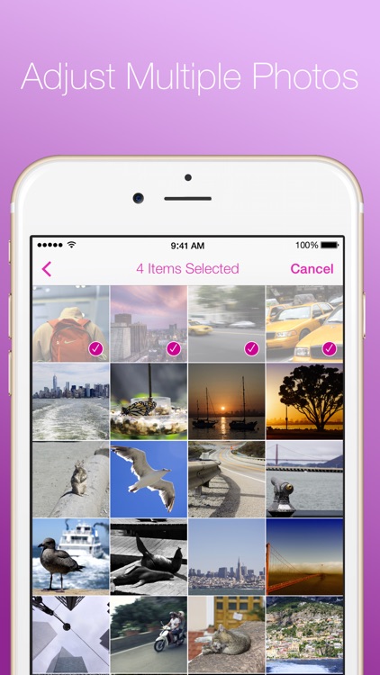 Organizer - All Your Photos in the Right Place