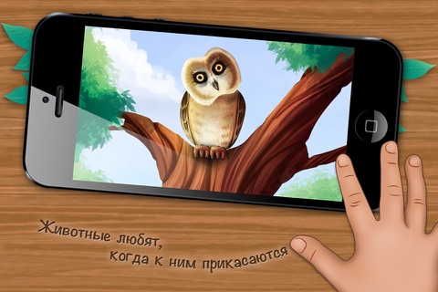 Who Lives in a Tree? An Interactive Children’s Mini-Encyclopedia. screenshot 4
