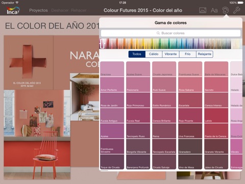 INCA Colour Concept screenshot 4