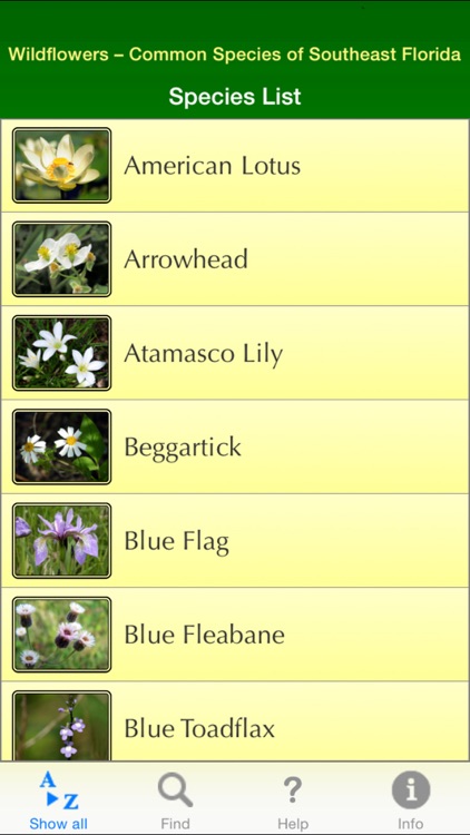 Wildflowers - Common Species of South Florida