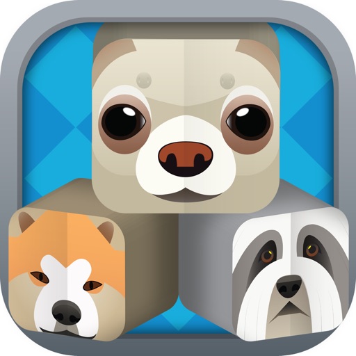 Hairy and Loid Adventure Quest - Stacking Animals Free icon