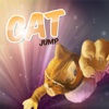 Cat Jump Dog Attack Chase Dash