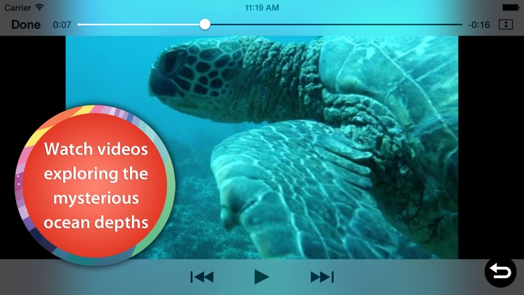 Ocean Animal Learning - Educational Games, Books and Videos about Marine Life by b-creative Journey