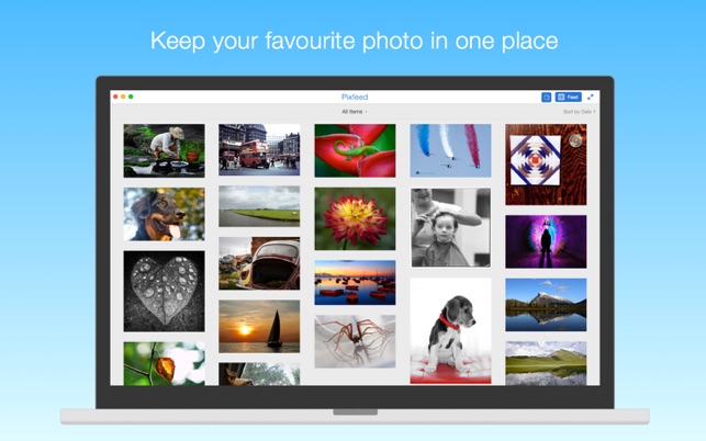 Pixfeed for Flickr(圖4)-速報App