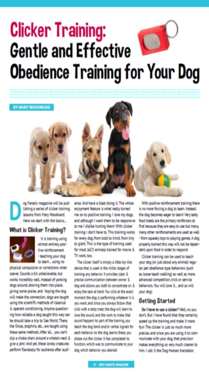 Dog Fanatic Magazine -  All About Dog Nutrition, Training, and Health screenshot-4