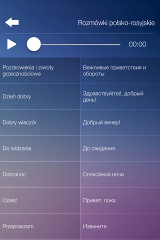 Rozmówki polsko-rosyjskie - nauka języka rosyjskiego screenshot 3