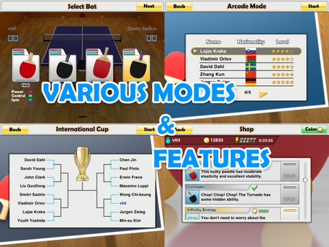 Игра Virtual Table Tennis HD