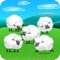 Counting Sheep (･ｪ･＠