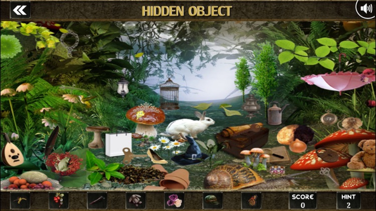 Mystery of Secret Hidden Objects