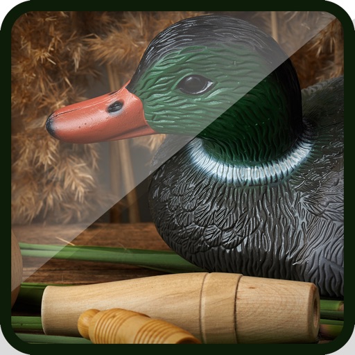 3D Duck Hunt-ing Shot-Gun Juggle Game for Free