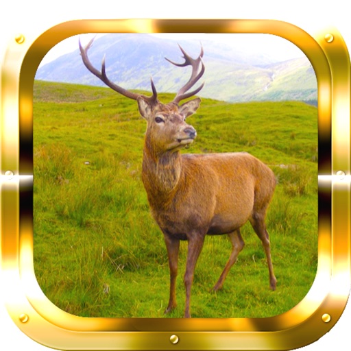 Deer Pro Hunter Crossing Icon