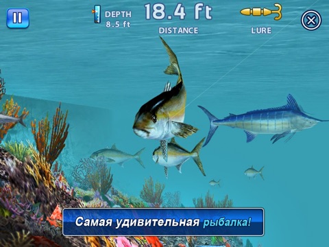 Скачать игру Fishing Kings Free+