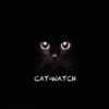 CatWatch