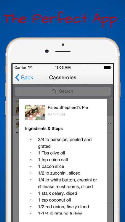 Quick Paleo Meals and Recipes screenshot-4