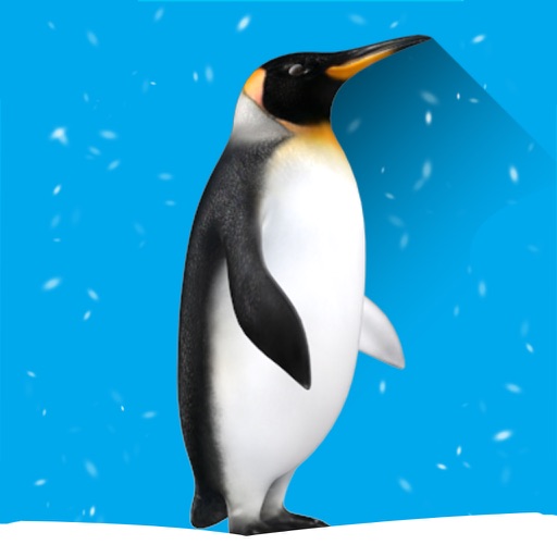 Hide The Penguin : Zoo Escape iOS App
