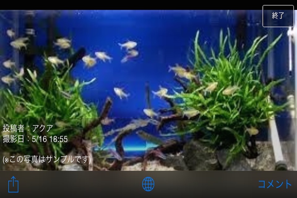 Pocket Aquarium【みんなの水槽】 screenshot 3