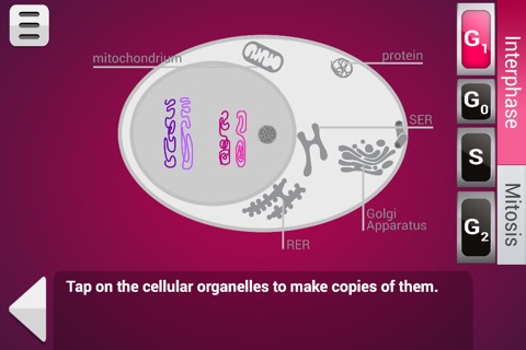 Biology Mitosis & Meiosis Lite screenshot 4