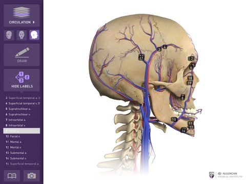 Interactive Anatomy - SA screenshot 4