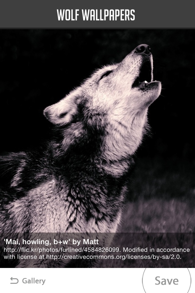 Wolf Wallpaper screenshot 3