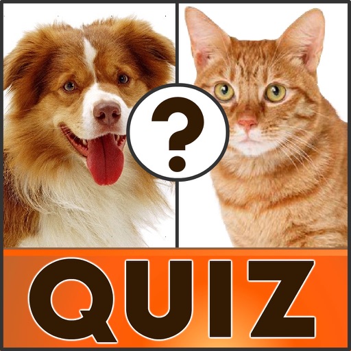 Free english vocabulary quiz Icon