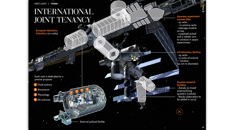 First Light Magazine