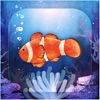 Icon Clownfish Aquarium