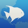 Get Fishlist: Caribbean for iOS, iPhone, iPad Aso Report