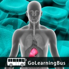 Top 32 Reference Apps Like Learn Hepatitis and Diabetes by GoLearningBus - Best Alternatives
