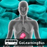 Get Learn Hepatitis and Diabetes by GoLearningBus for iOS, iPhone, iPad Aso Report