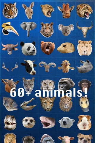 Animal Face Photo Booth screenshot 4