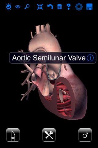 Zygote 3D Anatomy Atlas & Dissection Lab screenshot 2