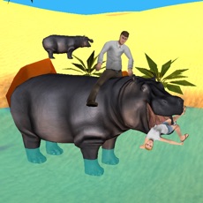 Activities of Hippo Simulator