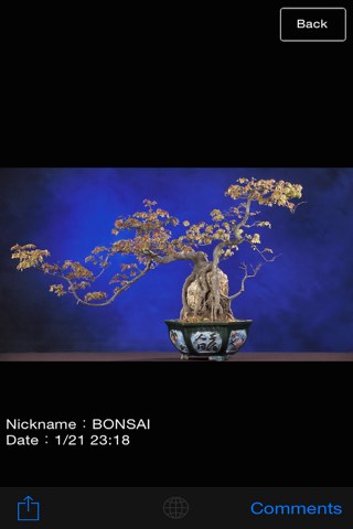 The BONSAI World【みんなの盆栽】 screenshot 3