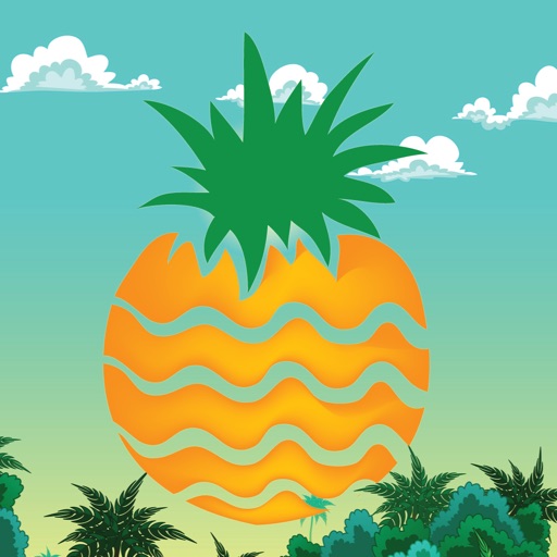 FruitBlaster Icon