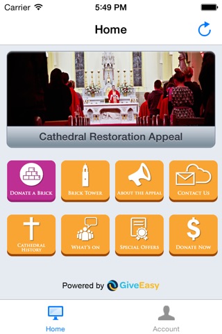 Cathedral Restoration Appeal - donate & support this worthwhile cause screenshot 2