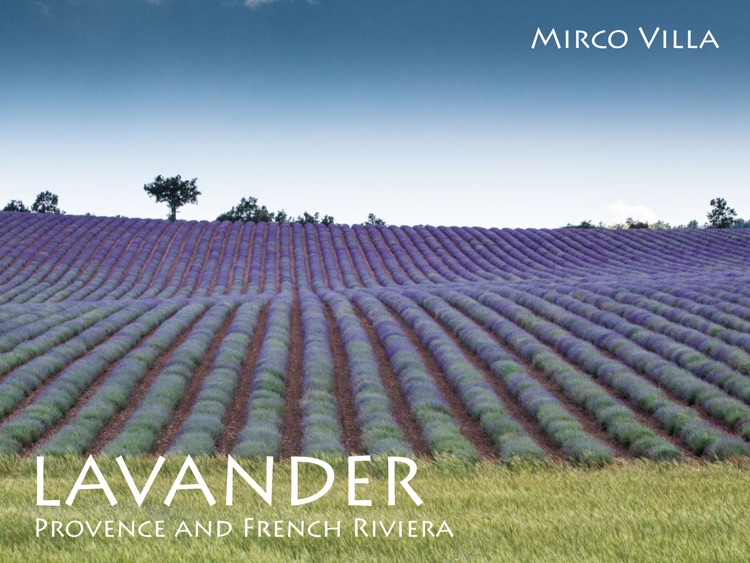 Lavander, Provence and French Riviera