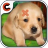 cute puppy doctor