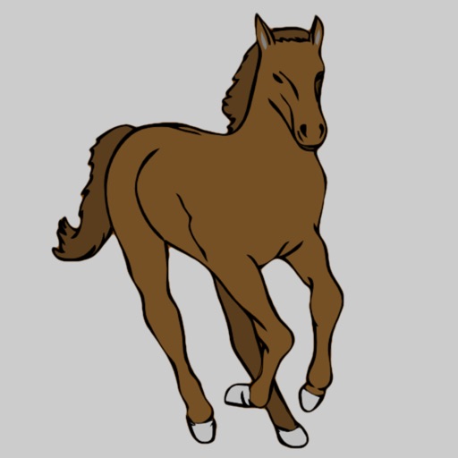 Equestrian Terms Icon