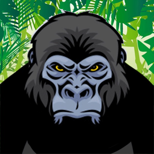 A Jungle Ape Zoo Escape - Crazy Forest Run icon