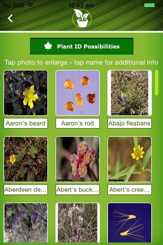 Plant ID screenshot 2