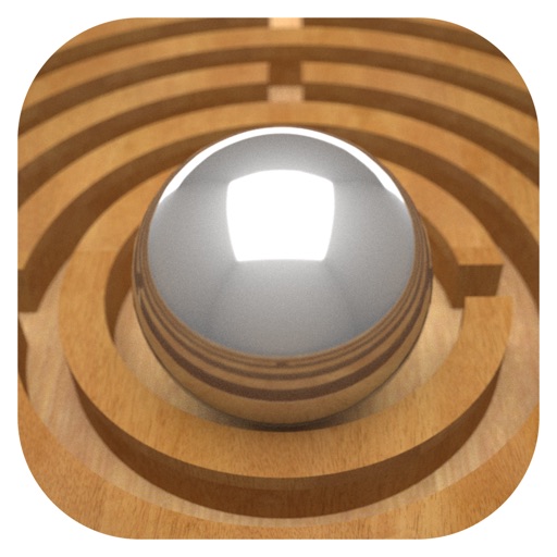 Maze Hole Icon