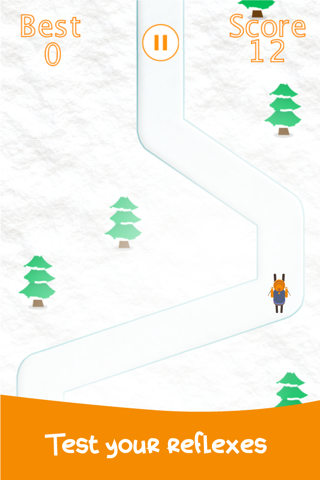 Snow Skiing Stay on Path screenshot 4