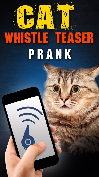 Cat Whistle Teaser Prank
