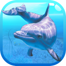 Activities of Underwater adventure 3D