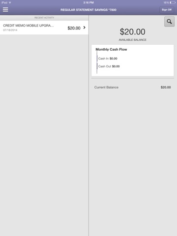 PyraMax Mobile Money for iPad screenshot 3