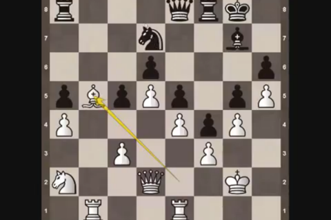 Chess Master Class screenshot 4