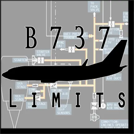 B737-Limits Читы