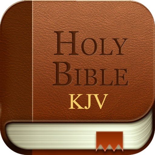 Holy Bible Reader KJV
