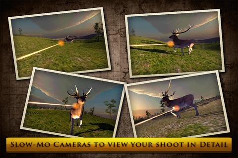 Virtual Hunting : Stag Free screenshot 2