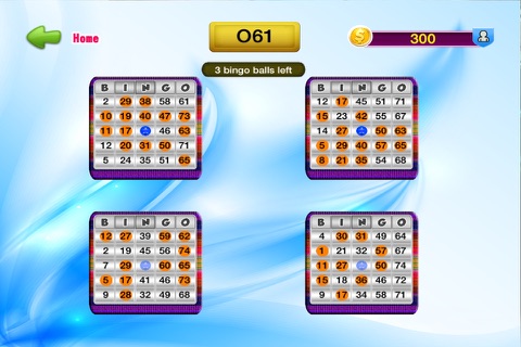 Bingo Pro - From Casino Blitz To Heaven screenshot 4